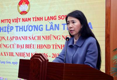 Phó Bí thư Tỉnh ủy, Chủ tịch Ủy ban MTTQ Việt Nam tỉnh Lạng Sơn Đoàn Thu Hà phát biểu tại Hội nghị. Ảnh: Văn Đạt - TTXVN