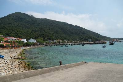 Từ cầu cảng cho đến những con đường nhỏ uốn lượn quanh sườn núi, đâu đâu cũng bắt gặp hình ảnh những tấm pano, áp phích khổ lớn và sắc đỏ tươi của cờ đỏ sao vàng, cờ Đảng tung bay trong gió . Ảnh: Anh Dũng – TTXVN