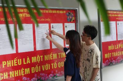 Sinh viên Trường Đại học Bách khoa, Đại học Đà Nẵng tìm hiểu thông tin về các ứng cử viên tại bảng niêm yết được bố trí trong ký túc xá nhà trường. Ảnh: Xuân Quý - TTXVN