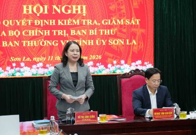 Đồng chí Võ Thị Ánh Xuân, Bí thư Trung ương Đảng, Phó Chủ tịch nước, Trưởng Đoàn kiểm tra, giám sát phát biểu chỉ đạo tại buổi làm việc. Ảnh: Nguyễn Cường - TTXVN