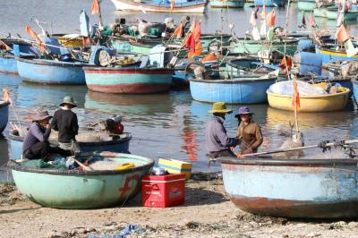 Nhiều ngư dân xã Tiến Thành (Lâm Đồng) đưa thuyền thúng lên bờ, tạm dừng ra khơi để thực hiện quyền công dân đi bầu cử. Ảnh: Nguyễn Thanh - TTXVN