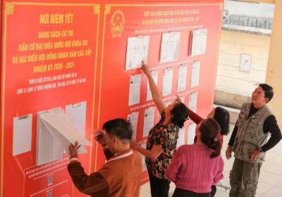 Cử tri tìm hiểu thông tin các ứng viên tại Đơn vị bầu cử số 6, khu vực bỏ phiếu số 32. Ảnh: Hoàng Hiếu - TTXVN